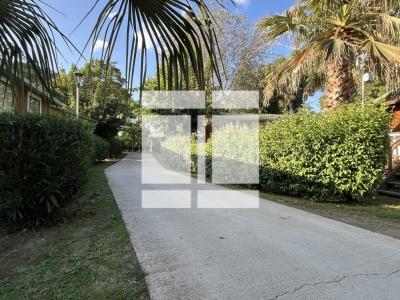 Annonce Vente 3 pi�ces Maison Sorbo-ocagnano 20