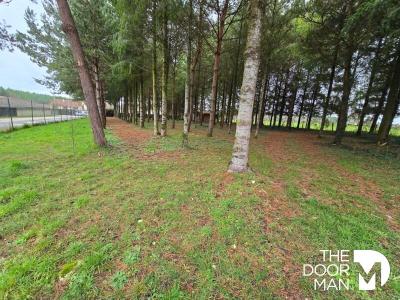 Annonce Vente Terrain Biesles 52