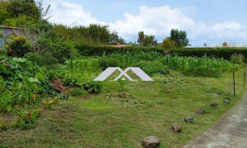 For sale Chaloupe 803 m2 Reunion (97416) photo 1