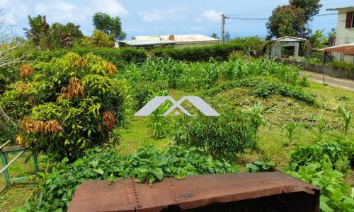 For sale Chaloupe 803 m2 Reunion (97416) photo 2