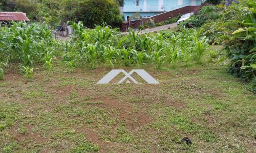 For sale Chaloupe 803 m2 Reunion (97416) photo 4