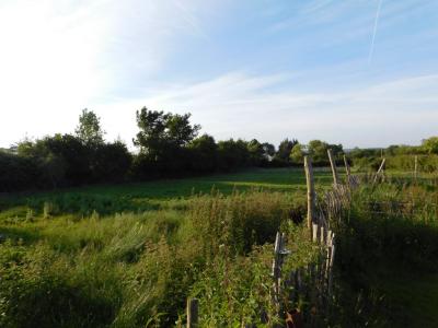 Annonce Vente 4 pi�ces Maison  85