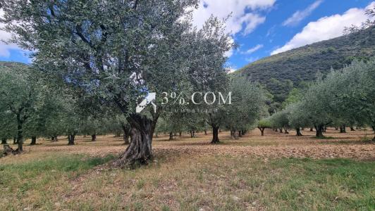 Acheter Prestige 450 m2 Nyons