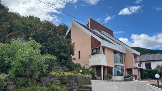 For sale Wintzenheim 10 rooms 299 m2 Haut rhin (68920) photo 4