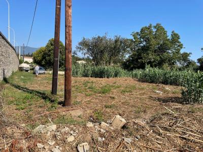 For sale Venzolasca 2732 m2 Corse (20215) photo 0