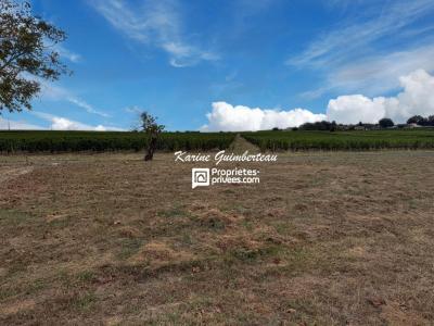 For sale Lussac 690 m2 Gironde (33570) photo 0