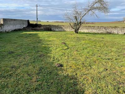 Annonce Vente Terrain Bussieres 77