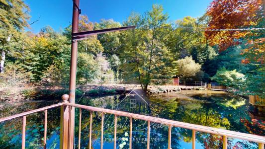 Annonce Vente Prestige Carcassonne 11