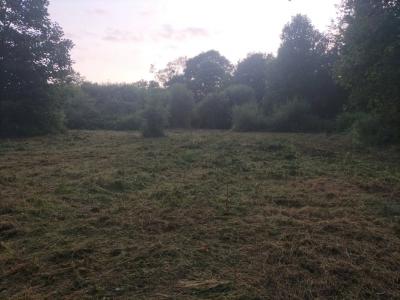 Acheter Terrain 910 m2 Saint-guyomard