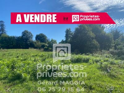 For sale Saint-guyomard 455 m2 Morbihan (56460) photo 0