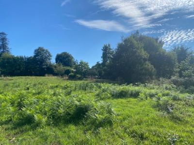 Acheter Terrain Saint-guyomard 72000 euros