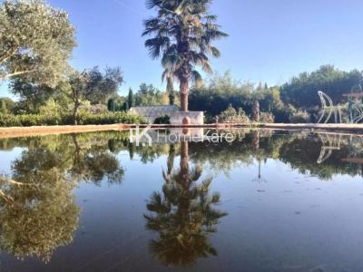 Annonce Vente 10 pi�ces Maison Boulogne-sur-gesse 31