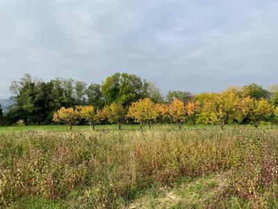 Acheter Terrain 630 m2 Larnage