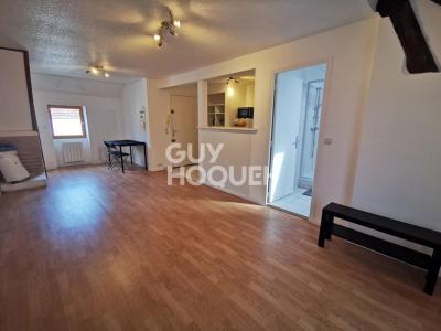 Annonce Location 2 pi�ces Appartement Ferte-gaucher 77