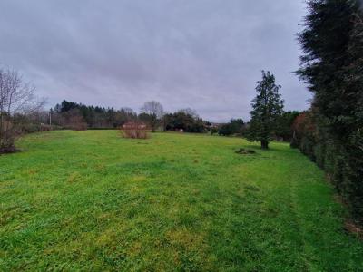 For sale Saint-yrieix-la-perche 4094 m2 Haute vienne (87500) photo 2