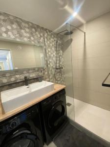 Louer Appartement 65 m2 Bron