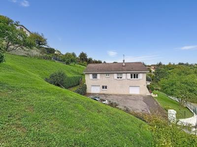 Acheter Maison Vienne 330000 euros