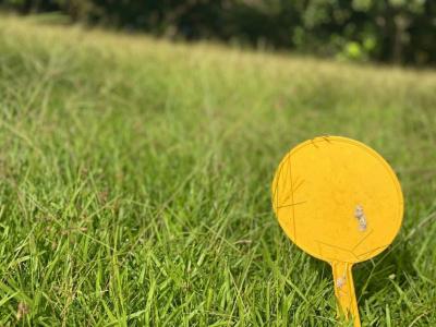 For sale Saint-joseph 1837 m2 Martinique (97212) photo 0