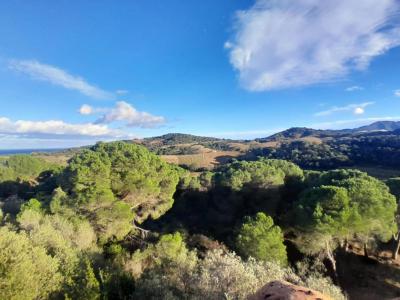 For sale Port-vendres 8 rooms 264 m2 Pyrenees orientales (66660) photo 2