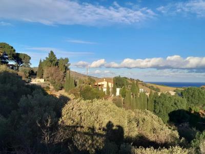 For sale Port-vendres 8 rooms 264 m2 Pyrenees orientales (66660) photo 3