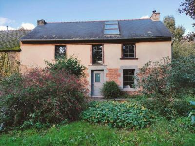 Annonce Vente 6 pi�ces Maison Meneac 56