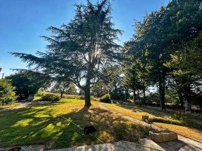 Annonce Vente 7 pi�ces Maison Bignan 56