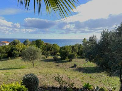 For sale Sari-solenzara 7 rooms 106 m2 Corse (20145) photo 0