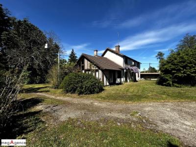 Acheter Prestige Maslives 330000 euros