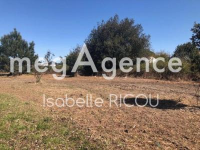 For sale Grand-village-plage 871 m2 Charente maritime (17370) photo 0