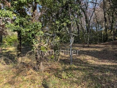 Annonce Vente Terrain Reillanne 04