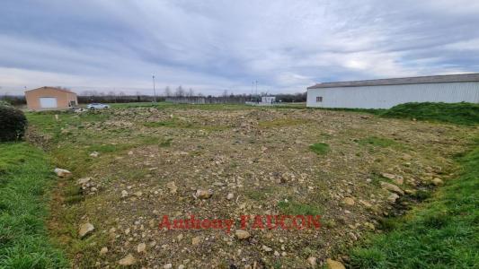 Acheter Terrain Chateau-guibert Vendee