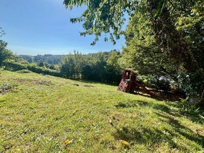 Annonce Vente 7 pi�ces Maison Saint-dizier-l'eveque 90