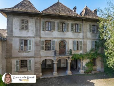 Acheter Maison 553 m2 Douvaine