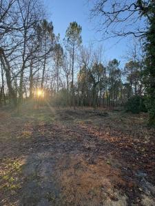 For sale Brach 515 m2 Gironde (33480) photo 0