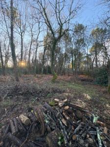 Annonce Vente Terrain Brach 33