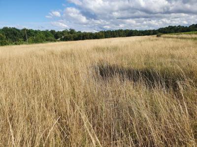 For sale Pompignac 750 m2 Gironde (33370) photo 0