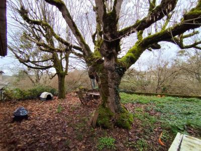 Acheter Maison Bonnetan Gironde
