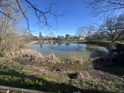 Annonce Vente 5 pi�ces Maison Auch 32