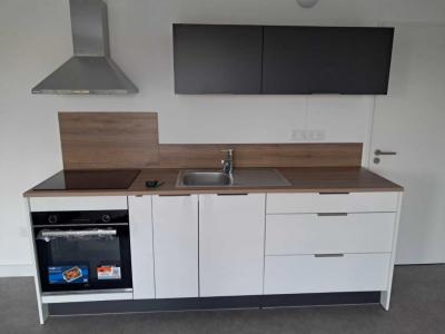 For rent Perenchies 2 rooms 46 m2 Nord (59840) photo 0