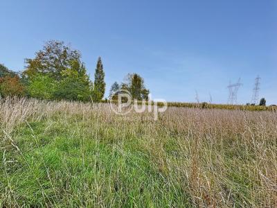 Annonce Vente Terrain Hornaing 59
