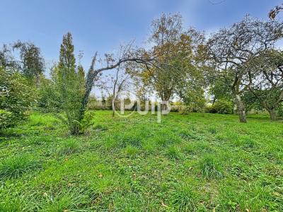 Acheter Terrain 3400 m2 Hornaing