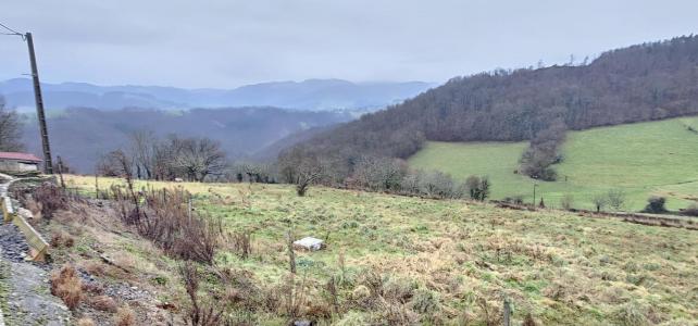 Annonce Vente 4 pi�ces Maison Brussieu 69