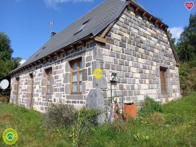 For sale Pierrefort 4 rooms 80 m2 Cantal (15230) photo 0