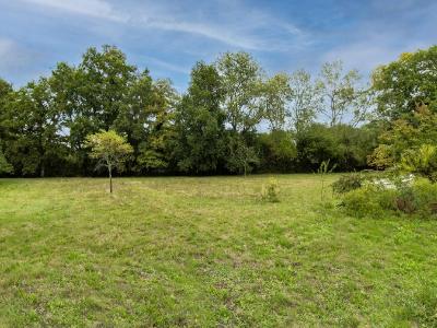 Acheter Maison Haute-goulaine 489000 euros