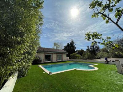 Annonce Location Appartement Toulouse 31