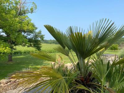Acheter Maison 350 m2 Sauveterre-de-guyenne