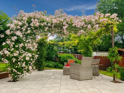 Annonce Vente 4 pi�ces Maison Echarcon 91