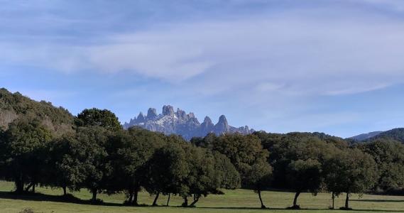 For sale San-gavino-di-carbini 490 m2 Corse (20170) photo 0