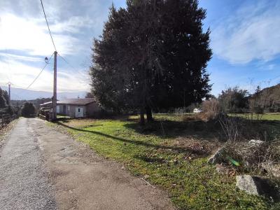 Annonce Vente Terrain San-gavino-di-carbini 20