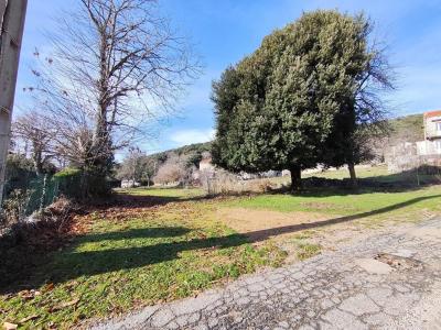 Acheter Terrain 490 m2 San-gavino-di-carbini